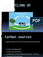 Carbon Cycle Powerpoint