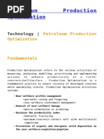 Petroleum Production Optimization: Technology