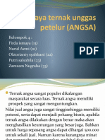 Budi Daya Ternak Unggas Petelur (ANGSA)