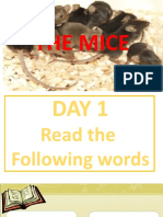 Week 23 The Mice