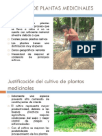 CULTIVO PLANTAS MEDICINALES.pdf