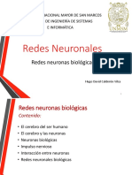 2-Redes Neuronales Biologicas