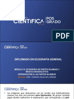 Partes Blandas PDF