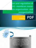 Function and Regulation of ABCA1 - Membran Meso-Domain Organization