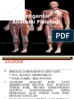 Pengertian Anatomi Fisiologi Manusia