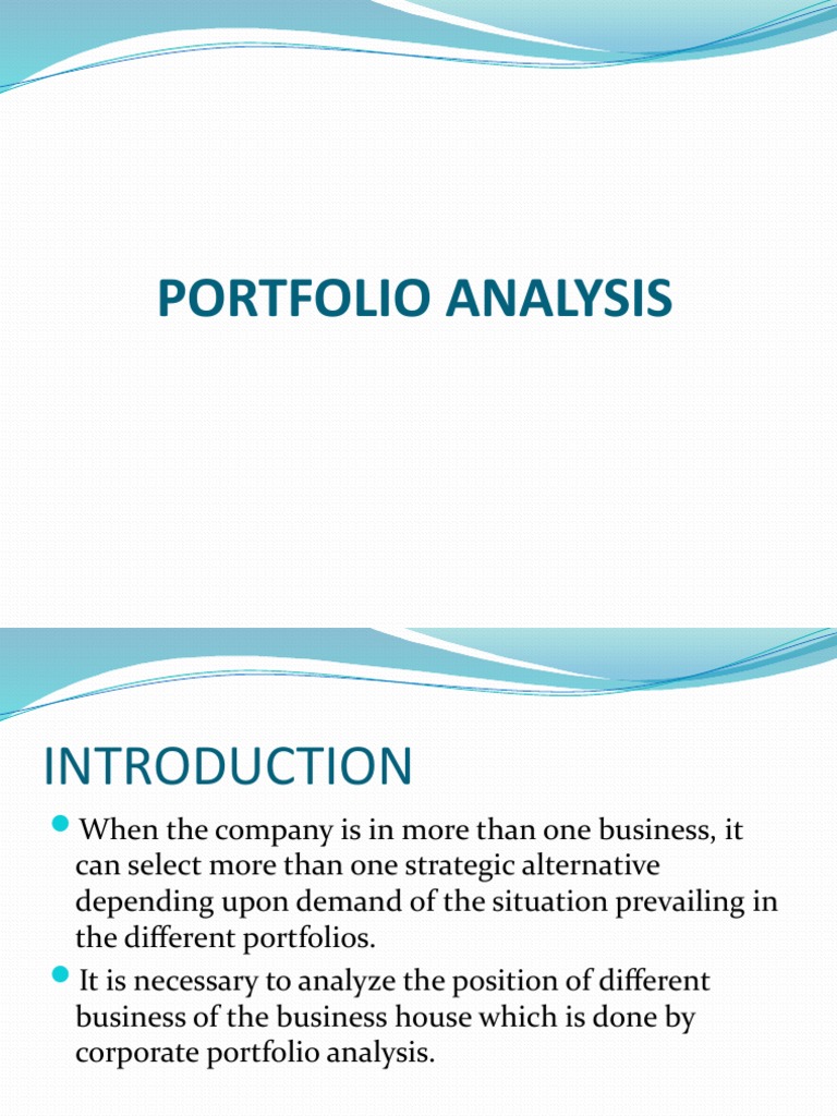 Portfolio Analysis PDF Economies Business