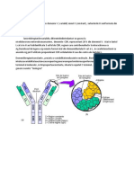 14domeniile Moleculelor de Imunoglobuline