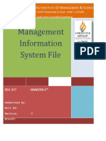 Management Information System File: L ' L D I O M & S