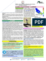 Boll S 05 PDF