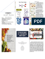 Proteins PDF