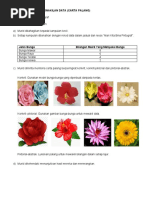 Laporan Interview Pdf