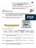 Trabalho Laboratorial Al - Física - 1.1