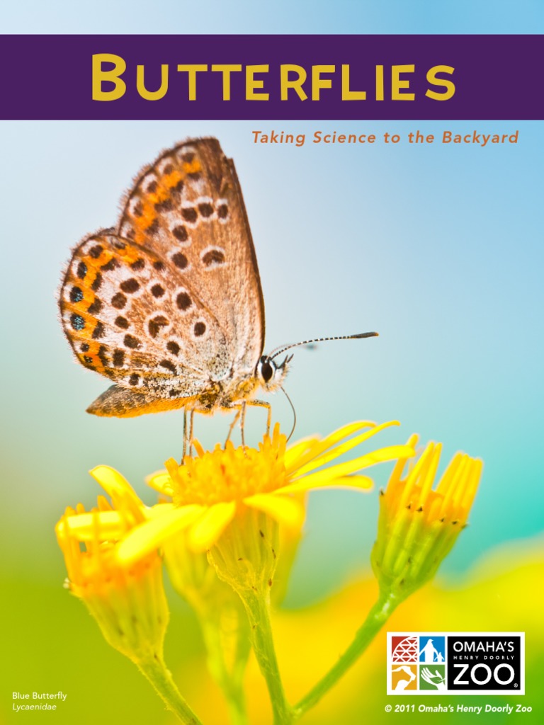 Utterflies: Taking Science To The Backyard | Download Free PDF ...