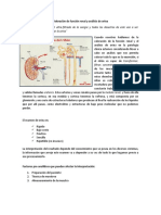 APUNTES Valoración de Función Renal y Análisis de Orina