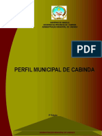 Perfil de Cabinda II Small PDF