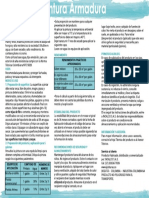 Atras tipo Armadura.pdf