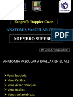 Anatomia Vascular Venosa, Miembro Superior.