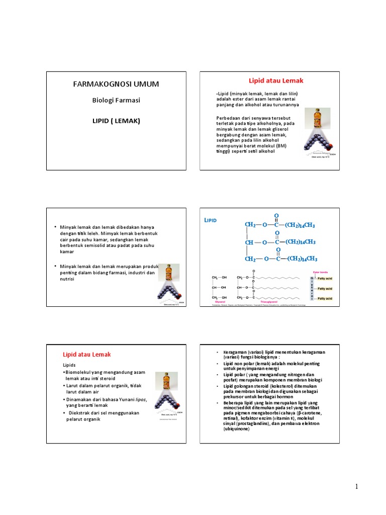 Lipid | PDF