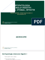 Patologia_tract_digestiv_I_LP.ppt