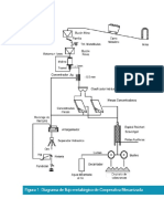 Proceso de Extracción de La Plata