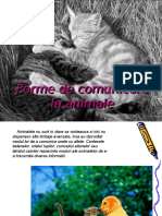 Forme de comunicare la animale.ppt