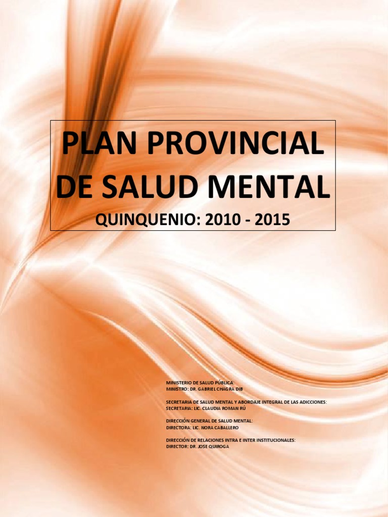 Plan Provincial de Salud Mental | PDF | Hospital | Salud mental