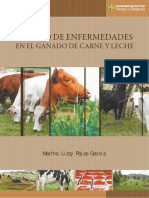 Libro_ Manejo de Enfermedades en el ganado de Carne_2010.pdf