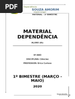 Listasanual_Erica_6ano_Ciências