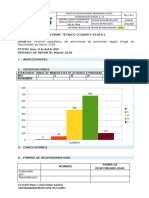 Reporte - Triage - Iess - 2018 Ejemplo