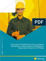 Guia IPEVR.pdf