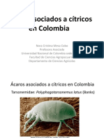 Biblioteca - 60 - Ácaros Asociados A Cítricos en Colombia PDF