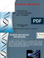 Tarea 4 - 4 Biomoléculas Orgánicas-Acido Nucleico