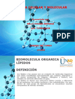 Tarea 4 - 4 Biomoléculas Orgánicas-Lipidos