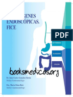 Atlas Endoscopía FICE PDF