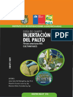 INJERTO PALTAS Chile 2013.pdf