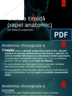 Tiroida Anatomia