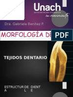 Generalidades Tejidos Dentales