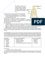 El Sistema Nervioso