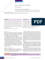 dcm101k PDF