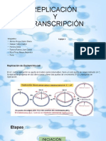 REPLICACIÓN y TRANSCRIPCIÓN