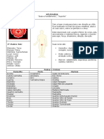 Chakras e Cristais PDF