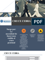 Cruce_Cebra