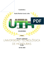 Tarea 3er Parcial Derecho Ambiental.