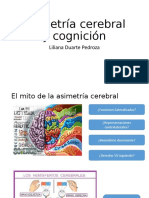 Asimetría Cerebral