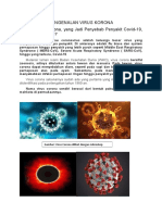 Materi Apa Itu Virus Korona PDF