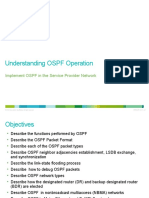 Understanding OSPF Operation: Implement OSPF in The Service Provider Network