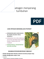 Cara-patogen-menyerang-tumbuhan.pdf