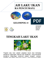 Ikan Indra Penciuman dan Tingkah Lakunya