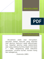 Brucellosis PPT