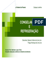 Congelamento.pdf